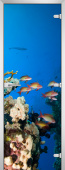 Стеклянная межкомнатная дверь Underwater World-10