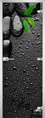 Стеклянная межкомнатная дверь с фотопечатью Spa-14