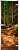 Стеклянная межкомнатная дверь Forest-17