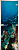 Стеклянная межкомнатная дверь Underwater World-11