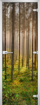 Стеклянная межкомнатная дверь Forest-13