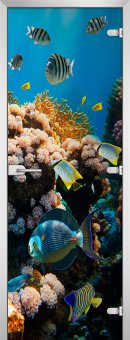 Стеклянная межкомнатная дверь Underwater World-14