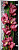 Стеклянная межкомнатная дверь Flowers-20